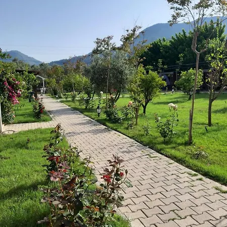 Sah Apart 4 Mevsim Séjour à la campagne Çıralı